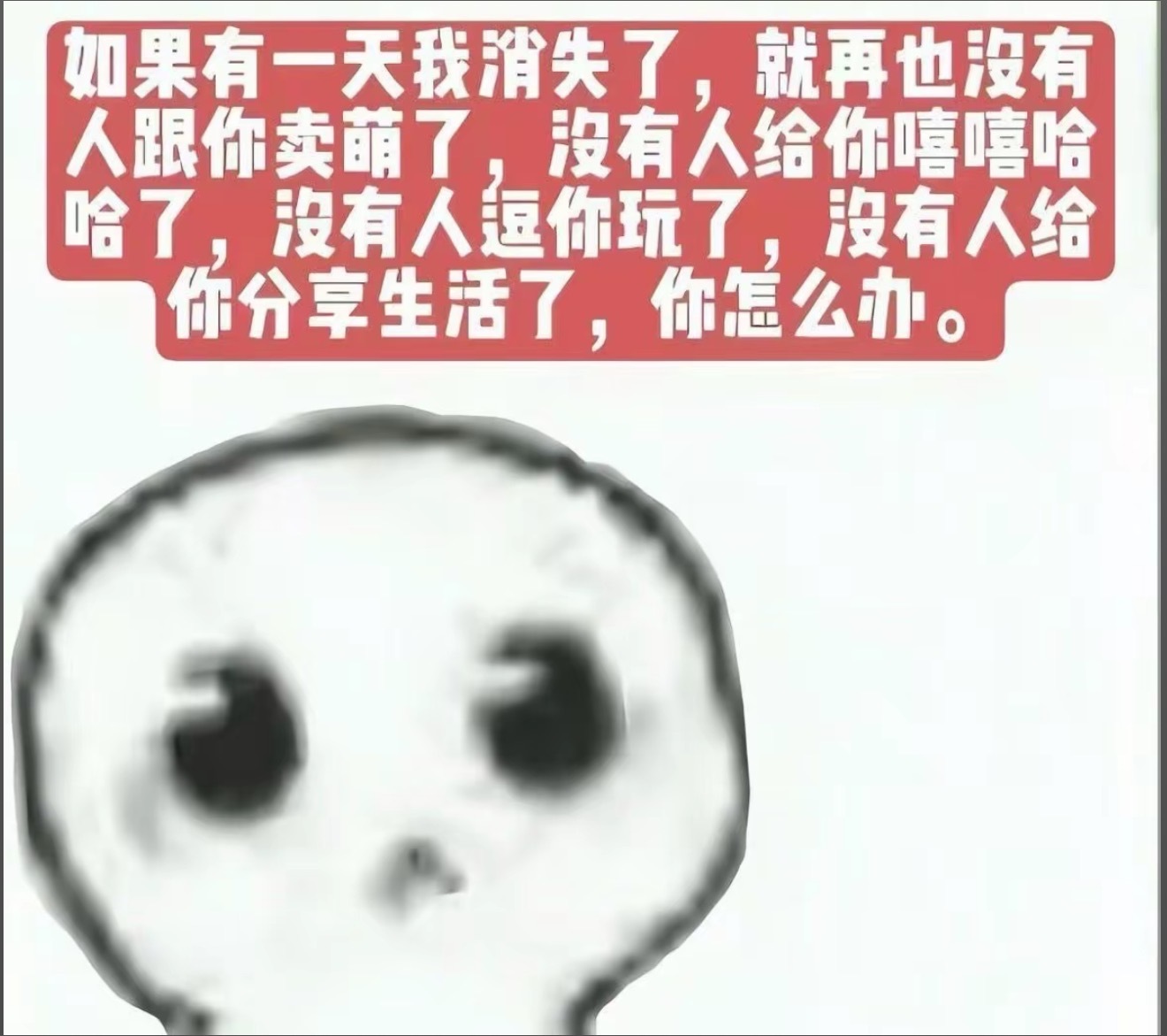 分享图片 