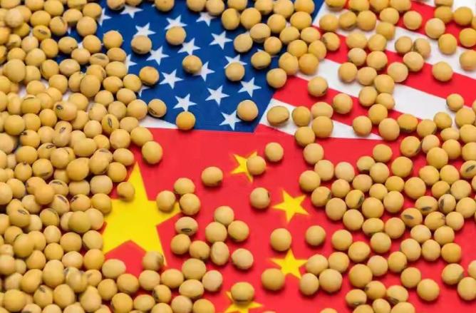 巴西傻眼了！中国宣布恢复采购美国大豆，双方趋势缓和,巴西豆农之前不断给中国涨价，