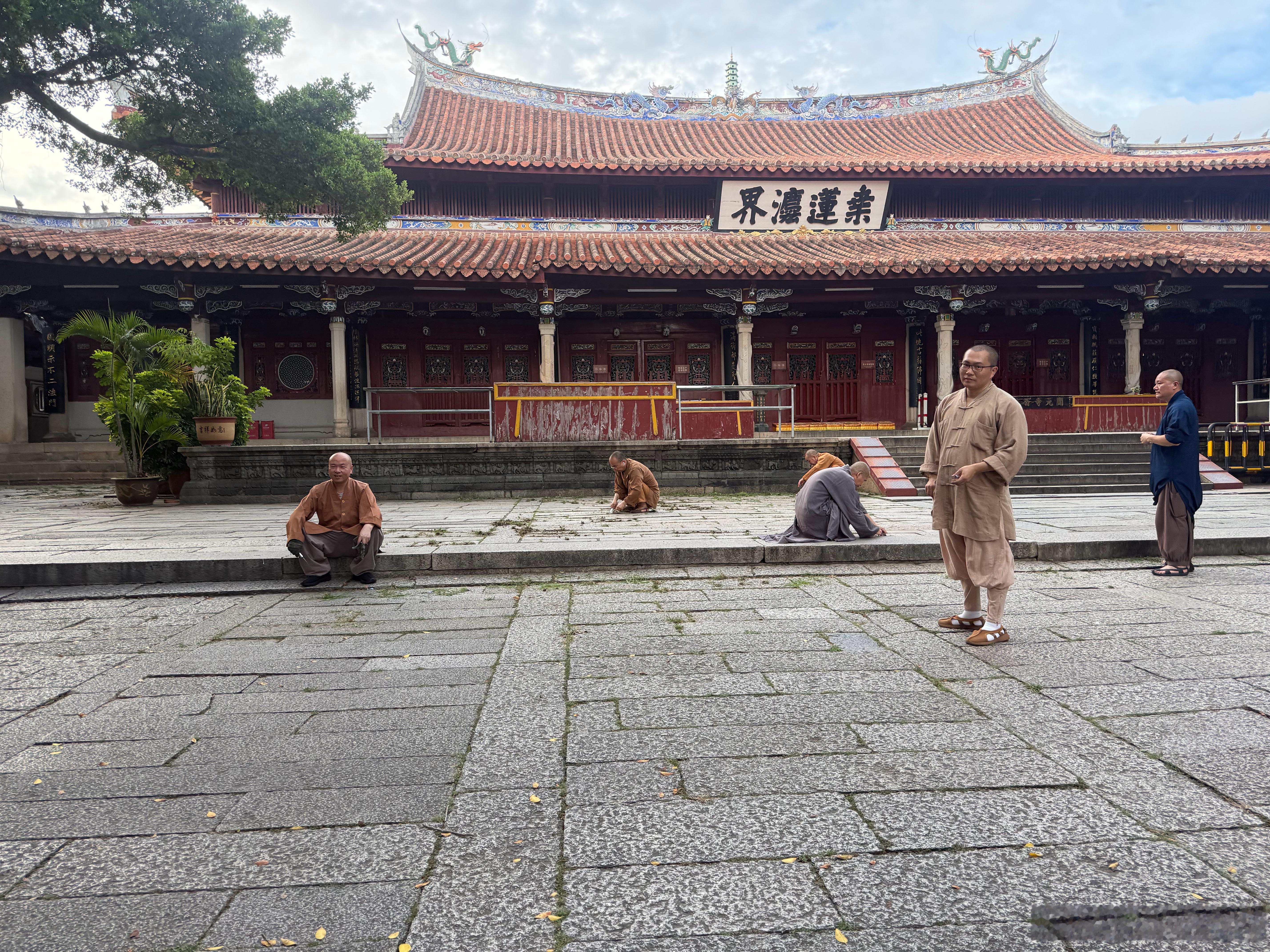 熬不住的时候，常常也想找个靠山，可是怎么找都会发现，有的山长满荆棘，有的山全是野