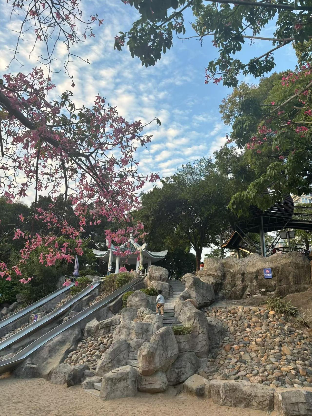 七绝·小雪
文/理想
闽南冬日少寒霜，小雪来时尽暖阳。
路边树下赏枫叶，球舘乒乓