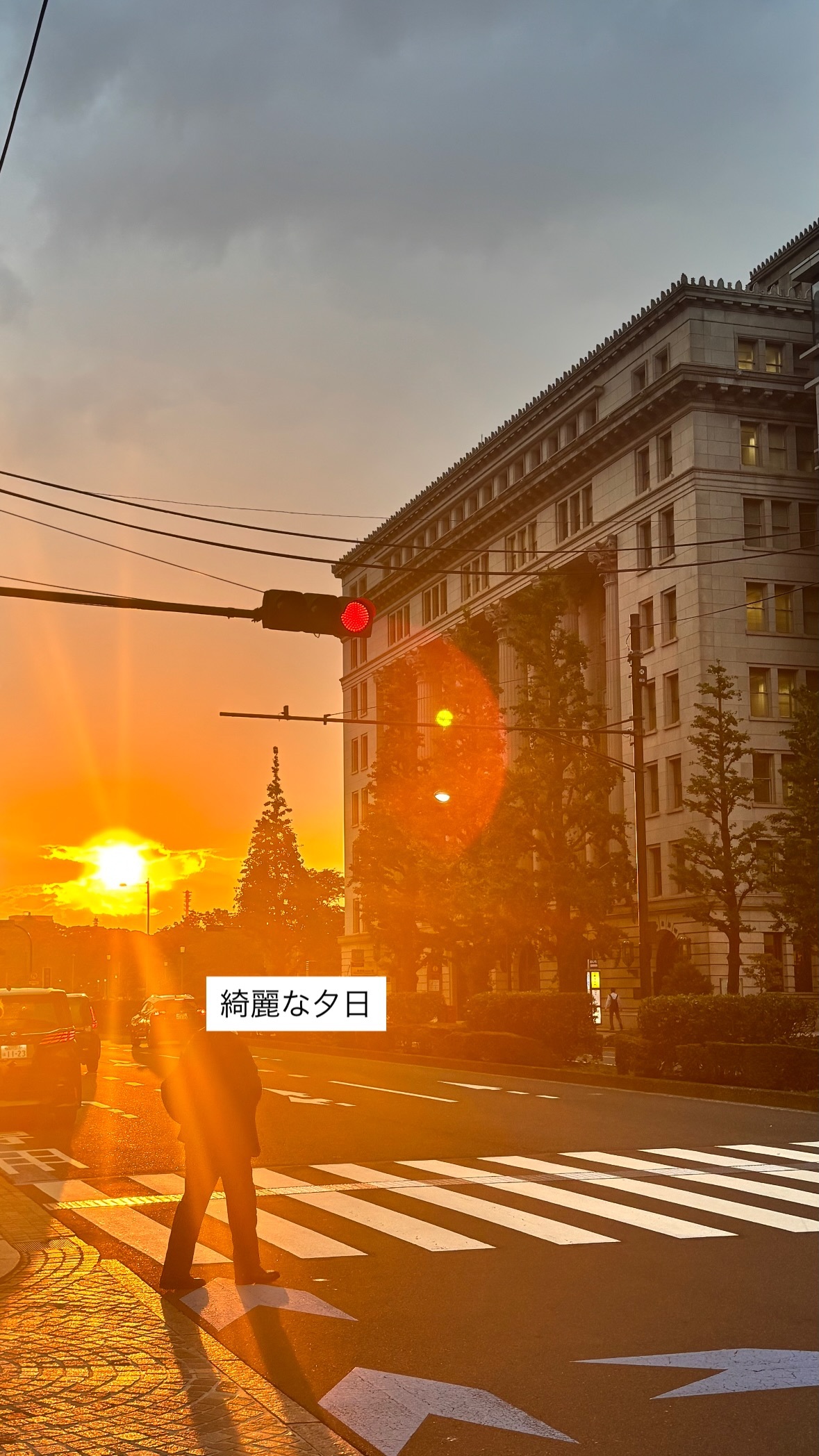 新内眞衣