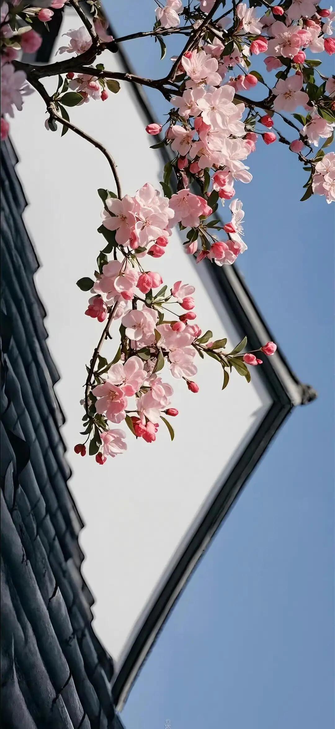 人到半生，方知顶级福气，皆藏「吾家有喜」🏮
人这一辈子，拼过名利、追过繁华，