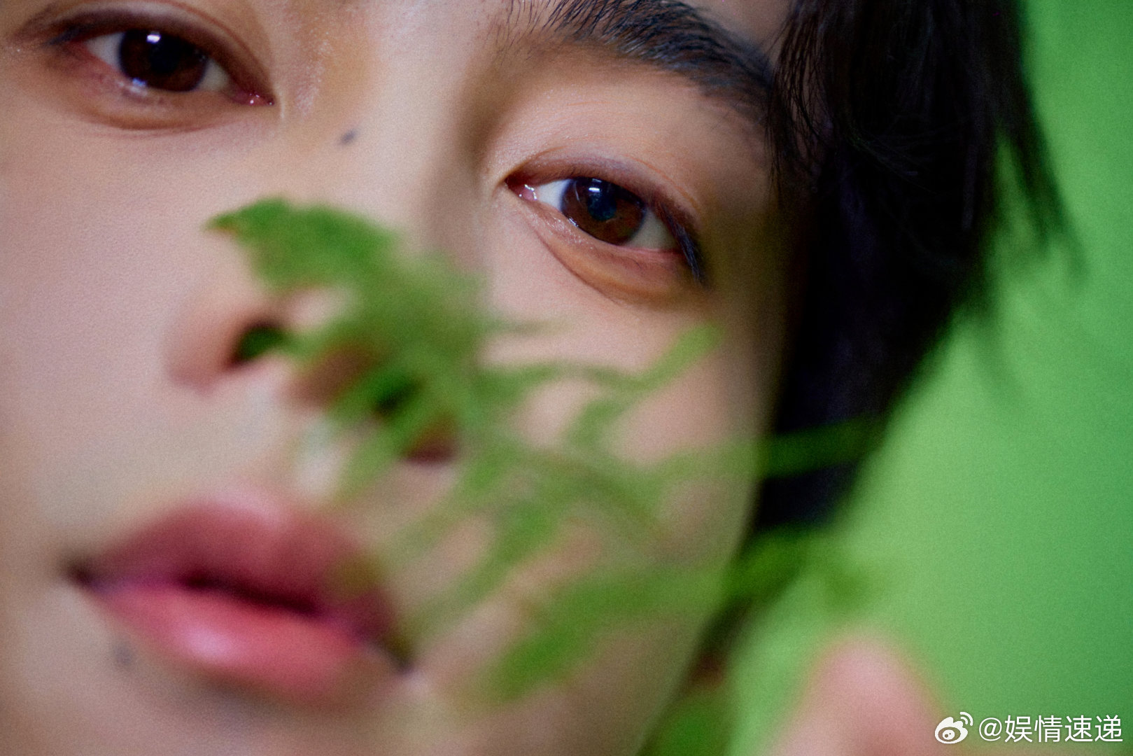 田栩宁竹影写真田栩宁纱影轻垂也行 