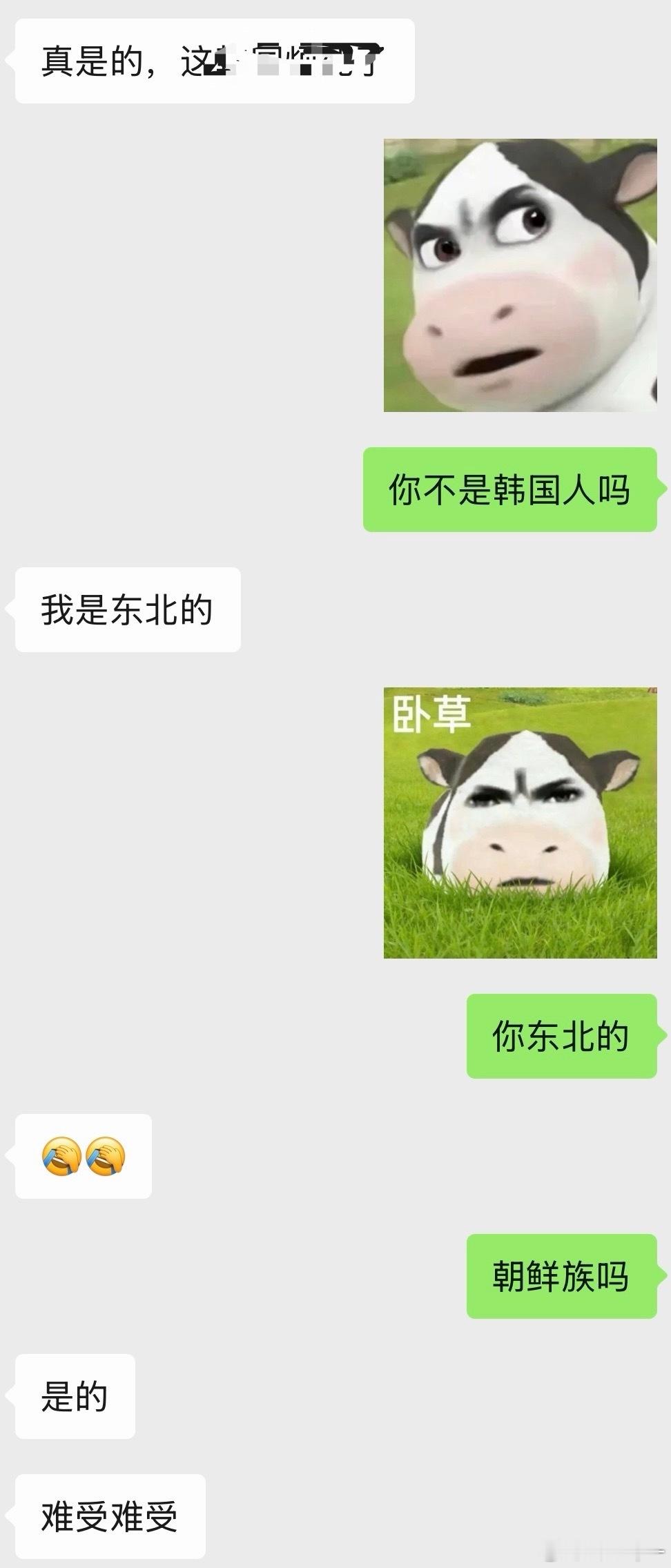 万万没想到对面这伙计居然是个东北人每次语音聊的时候就感觉他说中国话好费劲，还以为