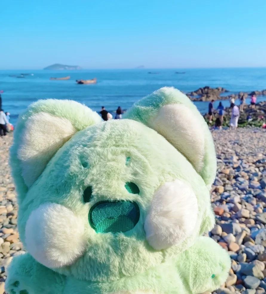 有没有人昨天在三号线见到两个小玩偶挂件[流泪][流泪][流泪][流泪][流泪][