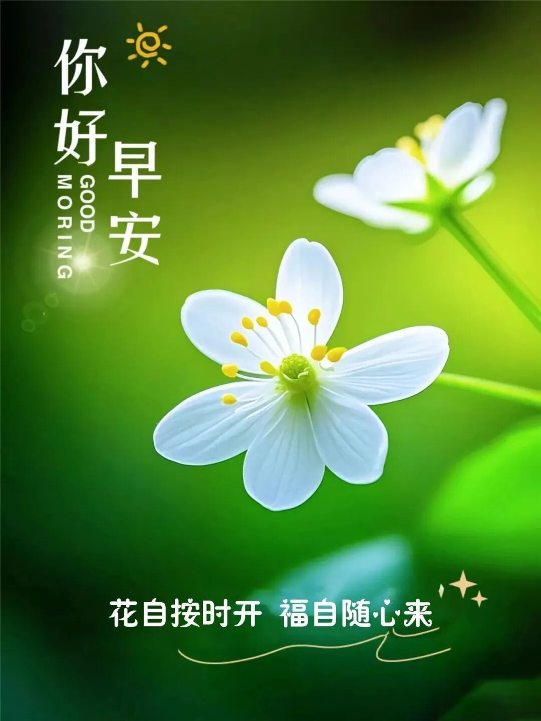 写文案生活给了每个人不同的起点，有人顺风顺水，有人一路坎坷，但每个清晨，我们都可