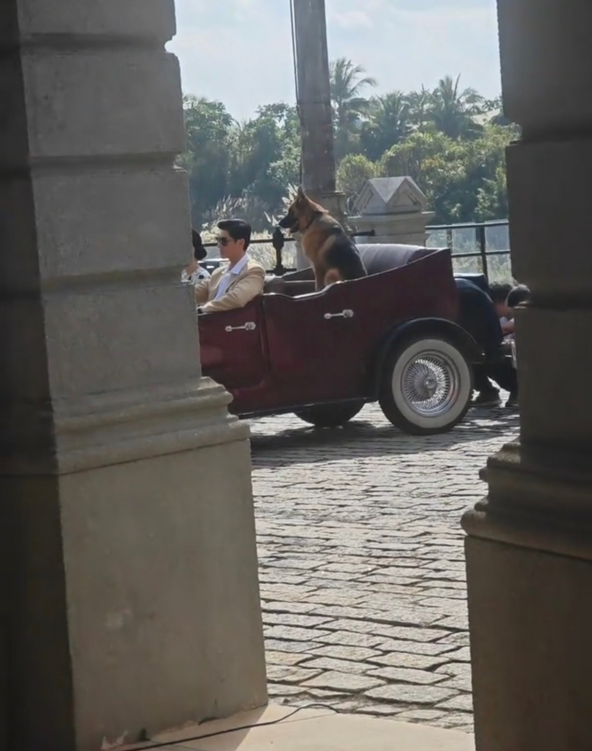 杨紫董竹君造型路透 杨紫新剧《玉兰花开君再来》董竹君造型路透来了！ 