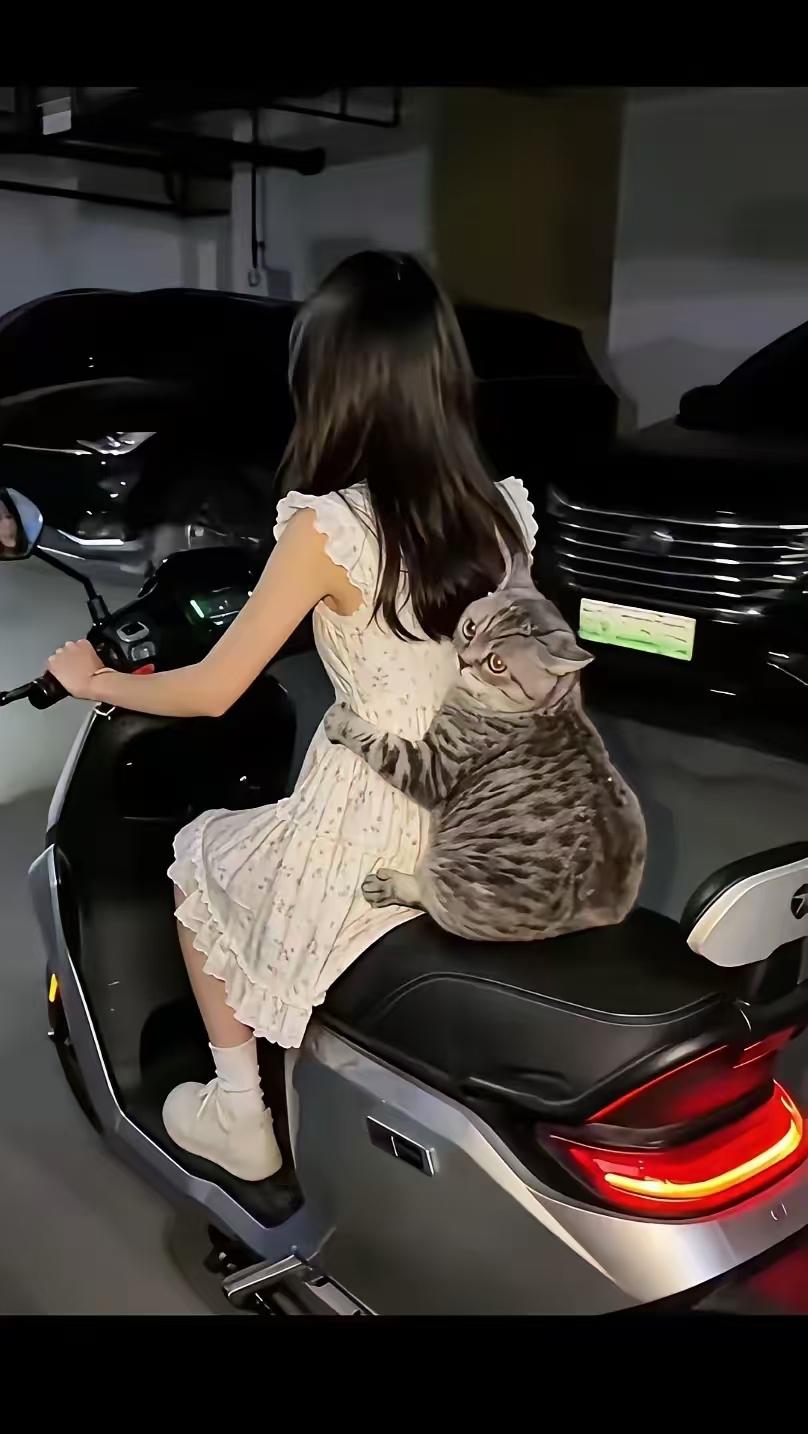 拐个弯，后座上的猫收紧爪子抱住了主人腰。小区地下车库，女子骑电动车出门，后座上坐