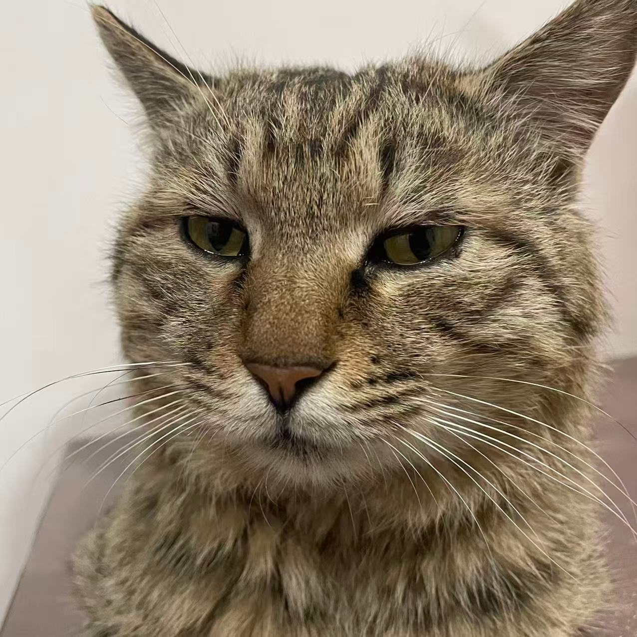 东子世锦应该没什么大问题了 