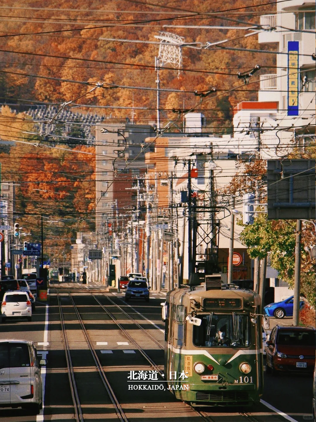 日本入秋后的第一片红叶👉北海道赏枫攻略🍁