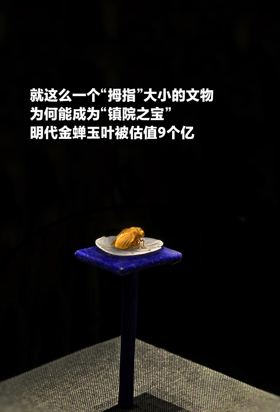 金蝉玉叶为何如此珍贵？