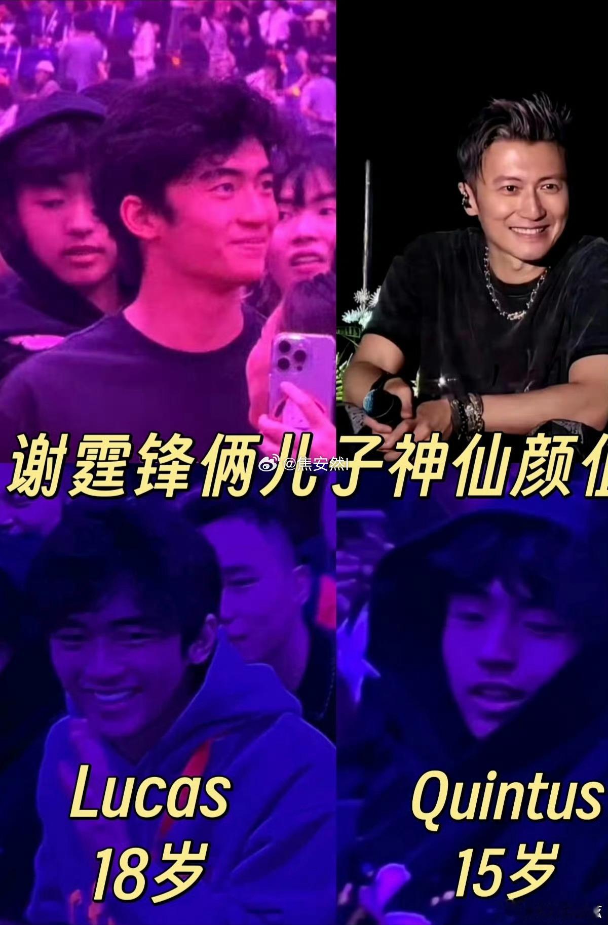 其实大儿子挺像谢霆锋的，只不过人家是素人不打扮也没有包装而已。小儿子侧面也像张柏