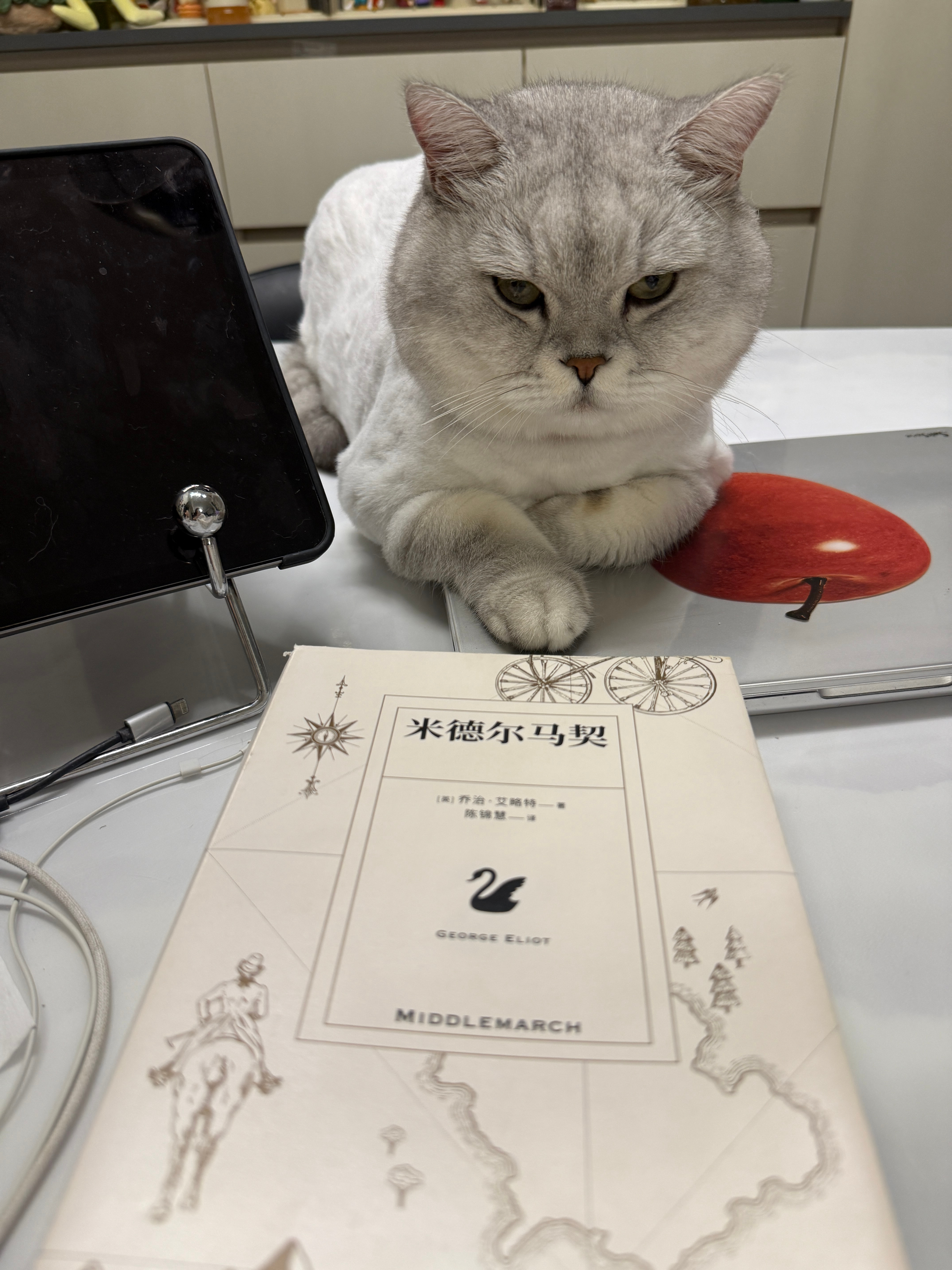 你窜到bbc榜一是不是塞钱进的 