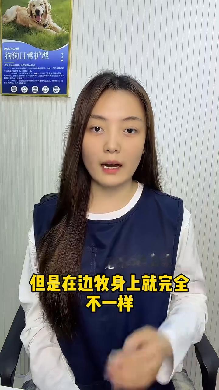 你打狗一顿它会记仇几天？今天我来告诉你答案。狗狗被主人打了肯定会记仇，而记仇时间