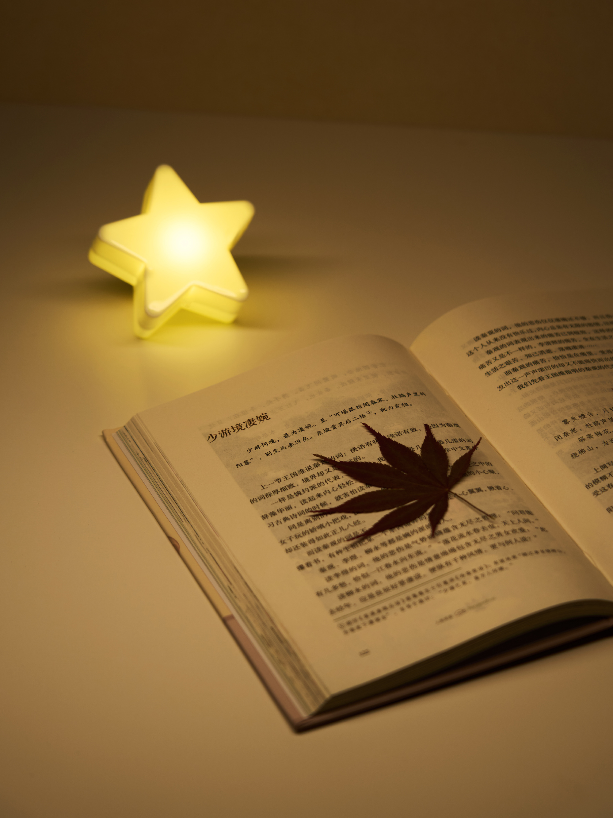人间词话⭐️🍁 