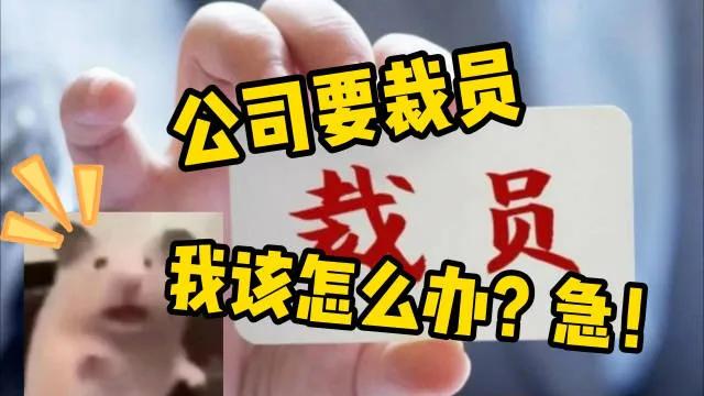 部门除我之外，还有3个人，老板要求今年裁掉1个人，请问我裁谁比较合适呢？
1、员