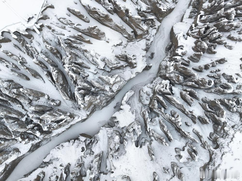 神奇土林——雪覆奇林峡日喀则·奇林峡景区[地点] 喜马拉雅余脉间，千年风刀霜剑将