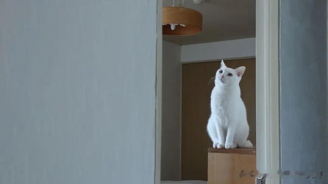 宁静生活