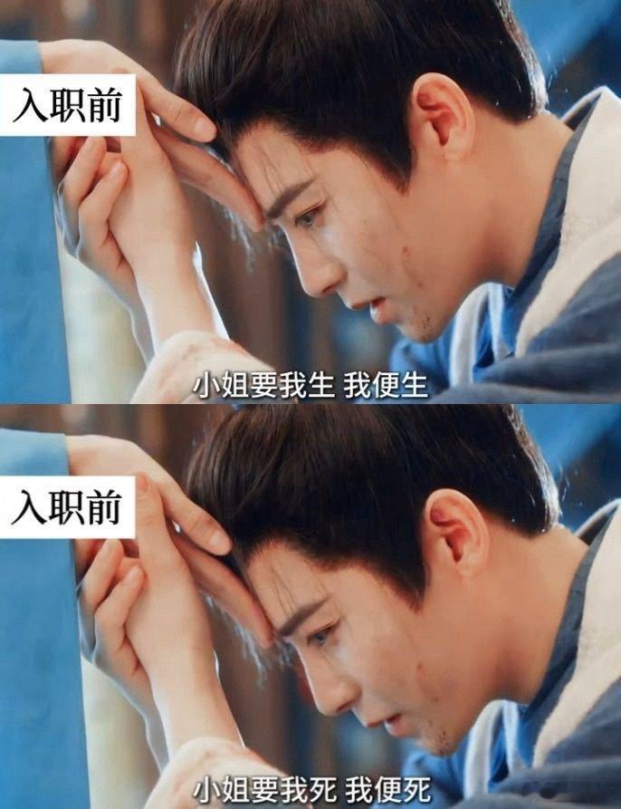 玉茗茶骨完全演我入职前后 陆江来入荣府这状态，简直是我上班翻版！求职时“赴汤蹈火