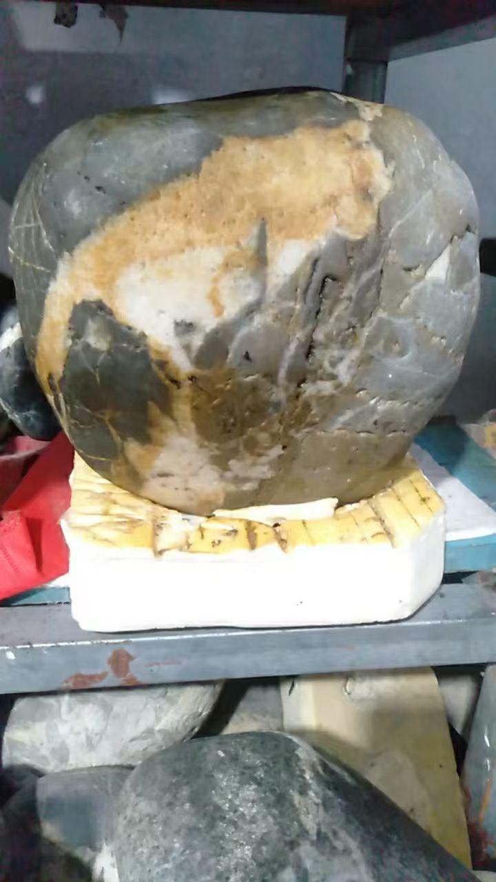 《丛林之王》