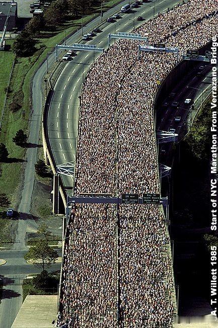 壮观的2011年纽约马拉松赛(New York Marathon)

这个星期天