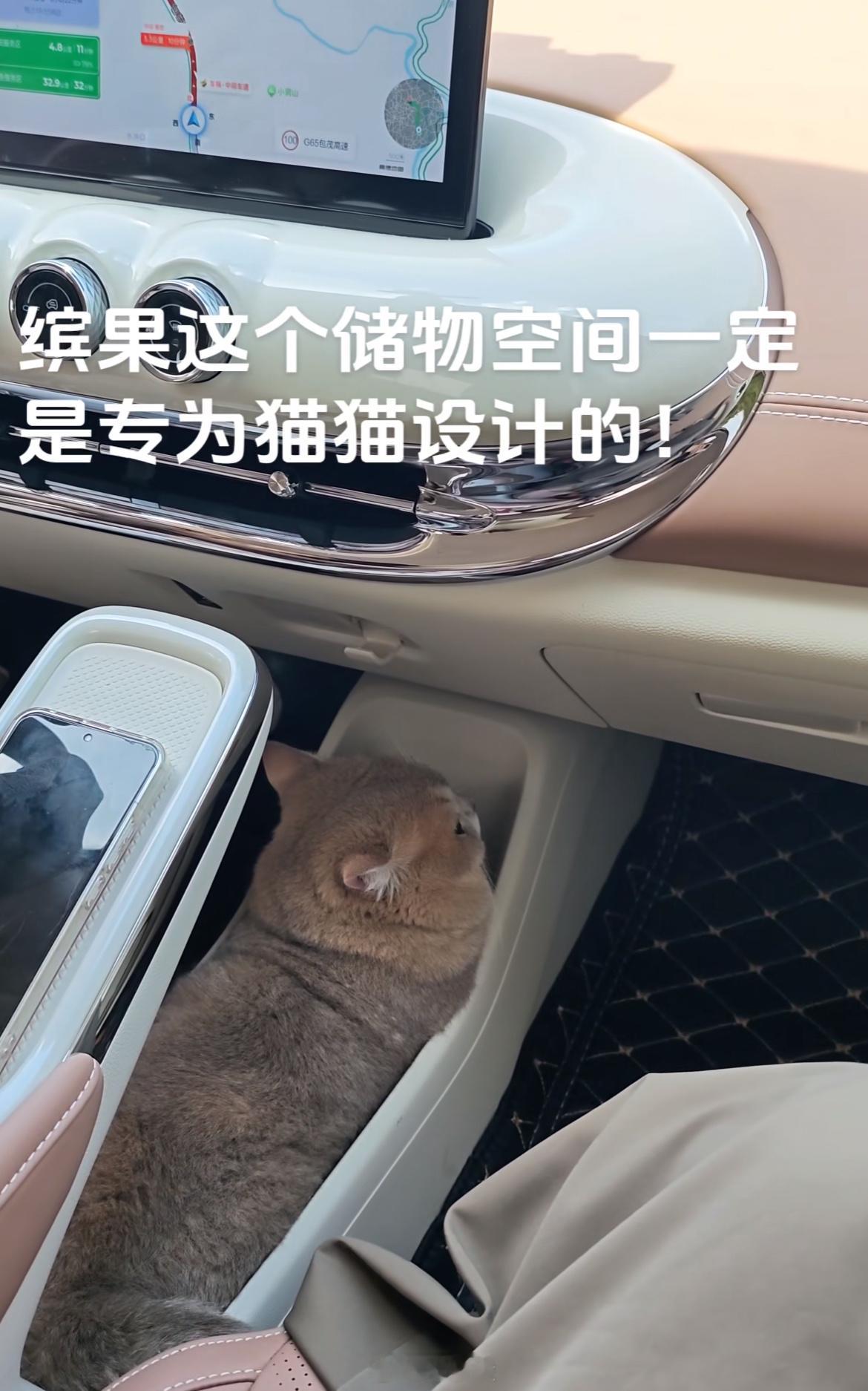 哈哈哈哈哈哈哈哈，以后缤果这中央扶手设计要上大分了[笑cry] ​​​