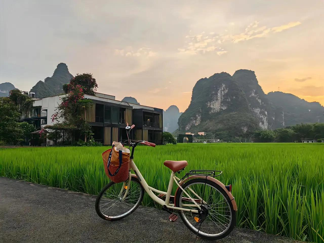 青春有两条路
一条是必须走
一条是想走

只有把必须的路走完，才能走想走的路
青