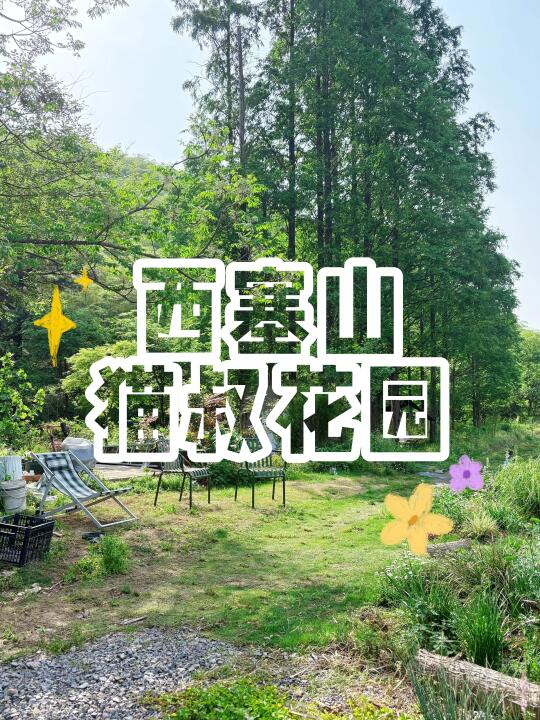 🐾「猫叔花园」🌸，藏在林间里的绝美秘境✨