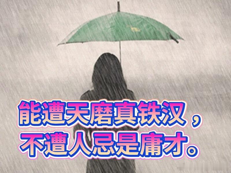 能遭天磨真铁汉 ，不遭人忌是庸才。 