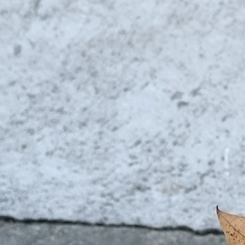 这墨迹的行情没多大操作空间，今晚美佬也在过节，今晚咋们也给自己放个小假娱乐放松下