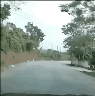 勤奋勇敢的外卖小哥为了赶时间，抢时间，争分夺秒！但千万别忘记了安全才是第一位，生