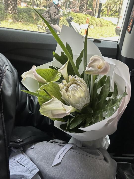 反季节帝王花束，和白色马蹄莲搭配很高级💚