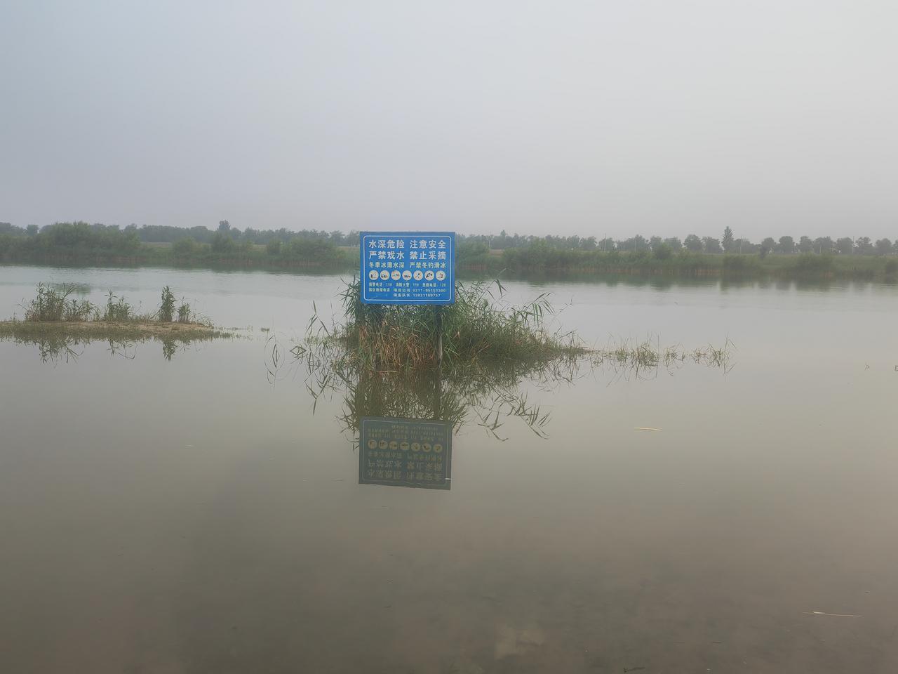 分享一张你最近随拍的照片藁城昨晚的雨下得大不大？滹沱河会说话，它不告诉你………