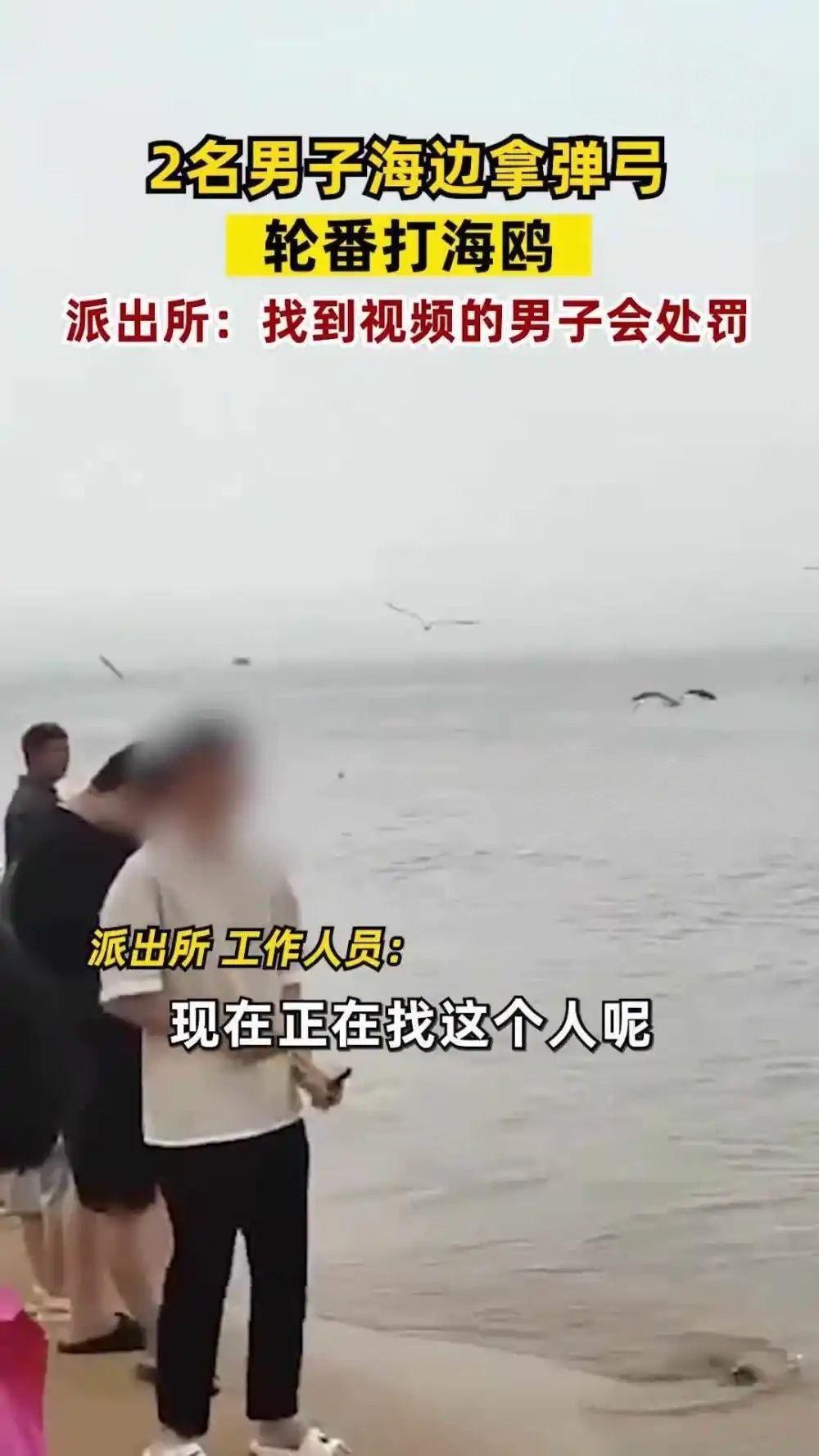 【#俩男子海边拿弹弓轮番打海鸥#，派出所：人找到后会处罚】7月8日，山东威海。2