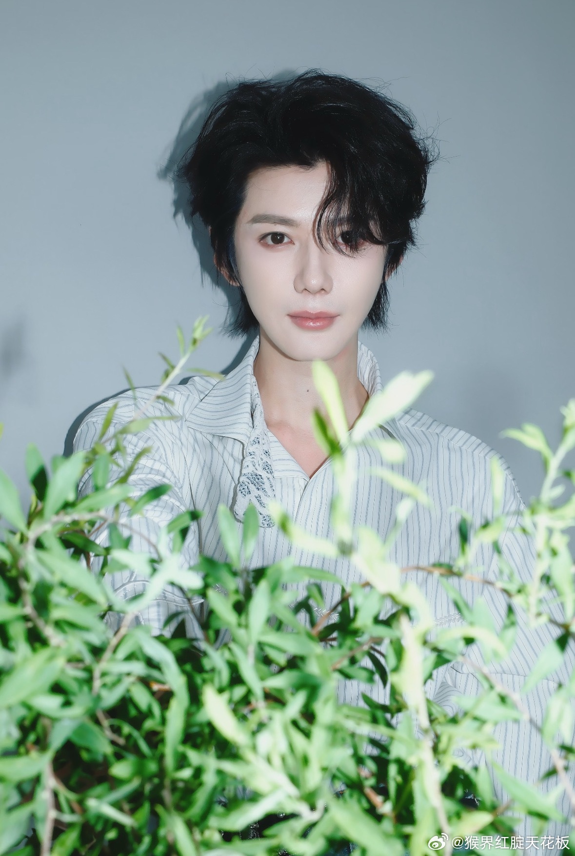 如果我一颗心被你俘虏 ​​​
