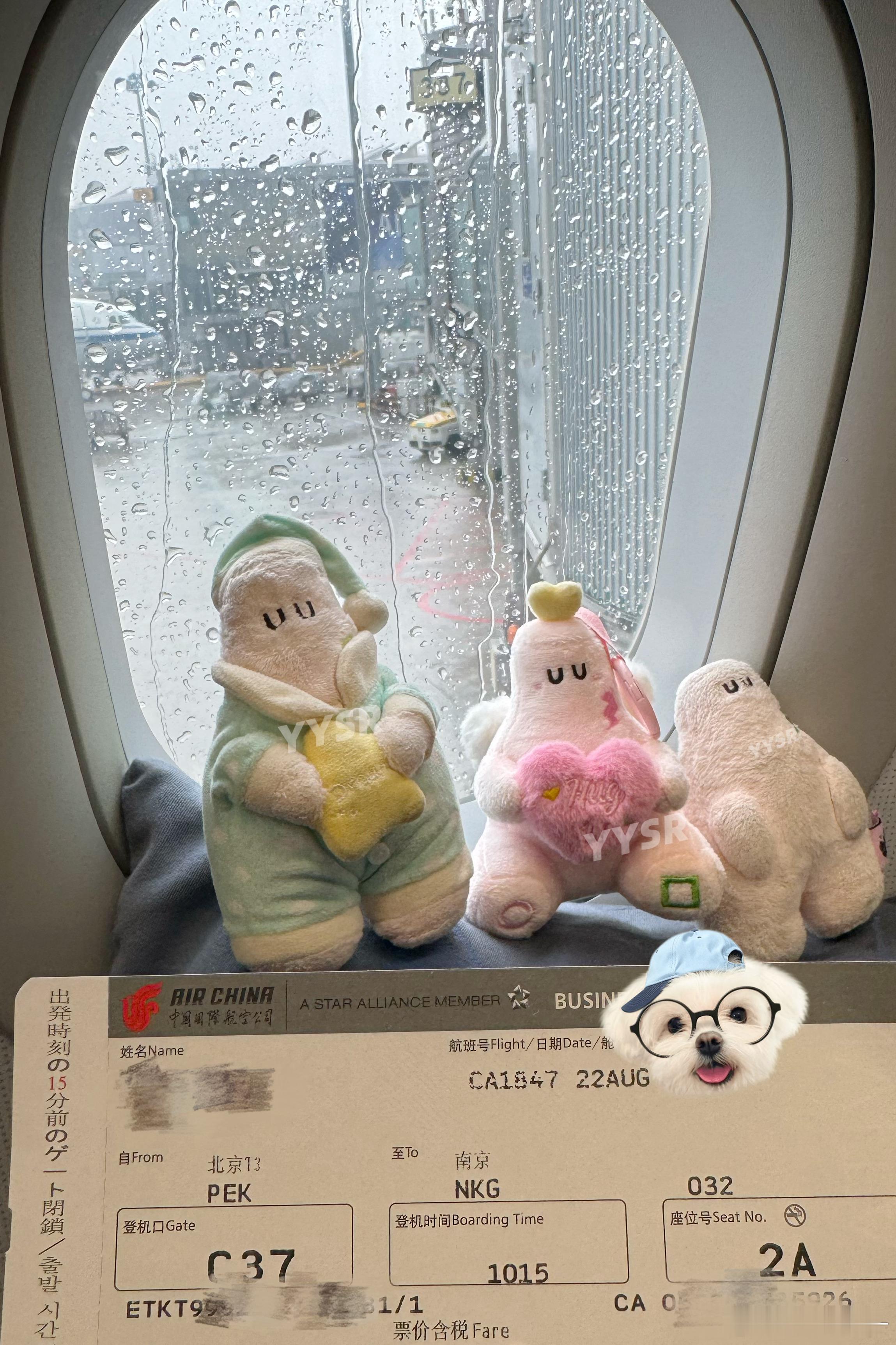 三胞胎第三次飞行 去南京找爸爸 北京·首都机场T3航站楼