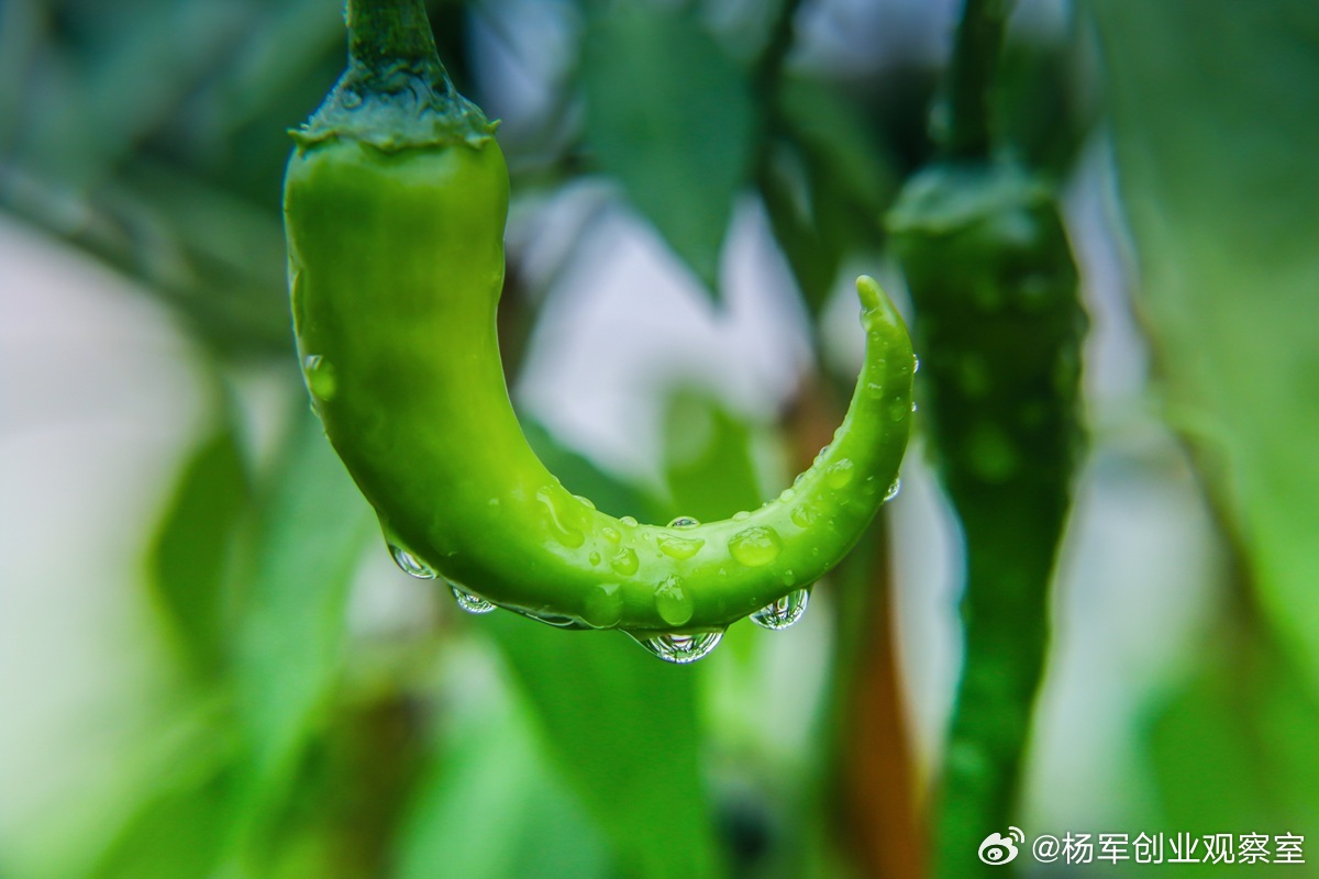 【商业保理尽调：核心是穿透“交易”与“信用”】商业保理的本质，是基于真实交易，受