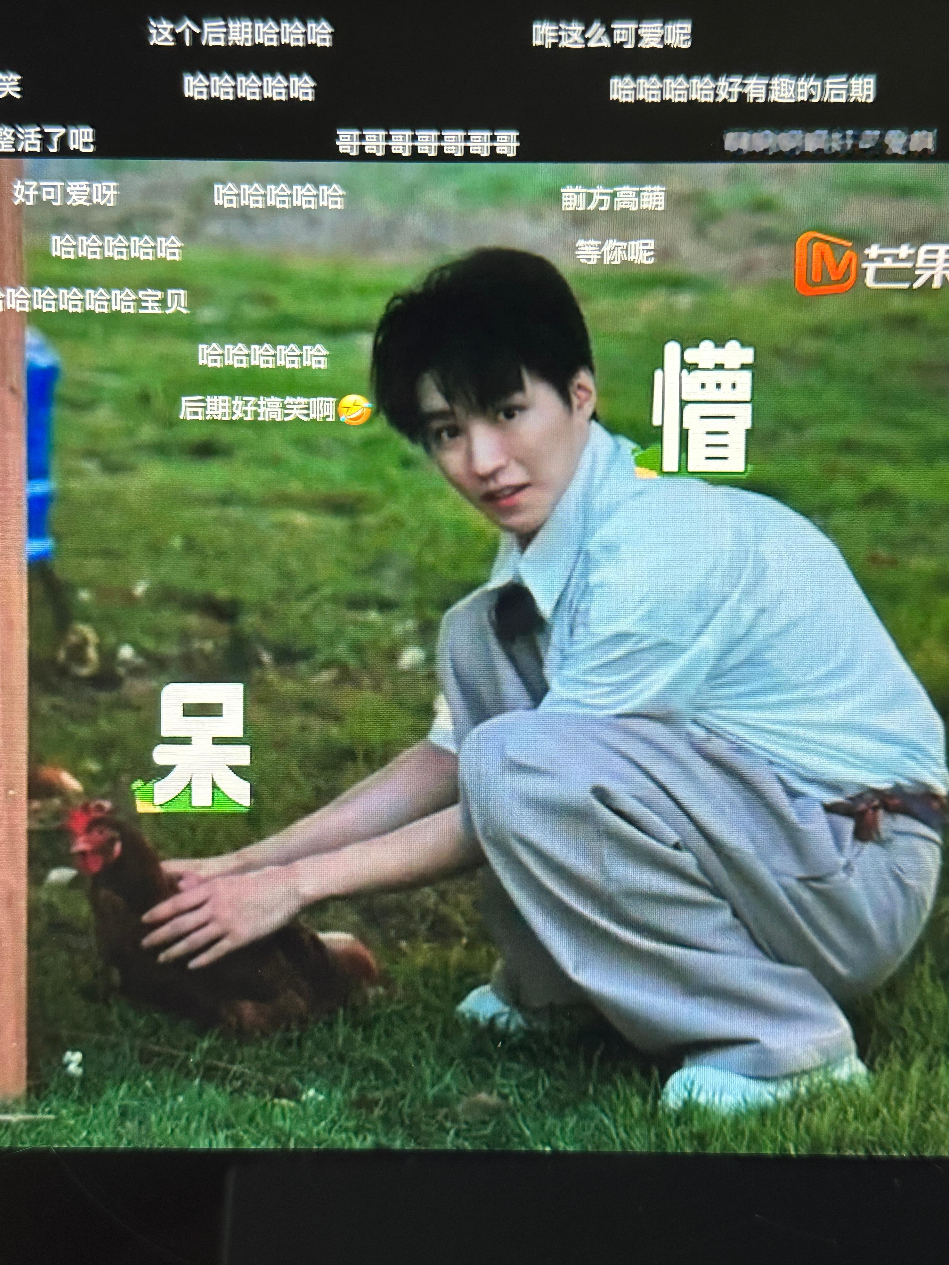 你也要产蛋吗贝贝 