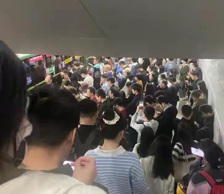 清晨5点多，河北张家口的天色还是一片漆黑，李橙子已经轻手轻脚地出门，赶往高铁站。