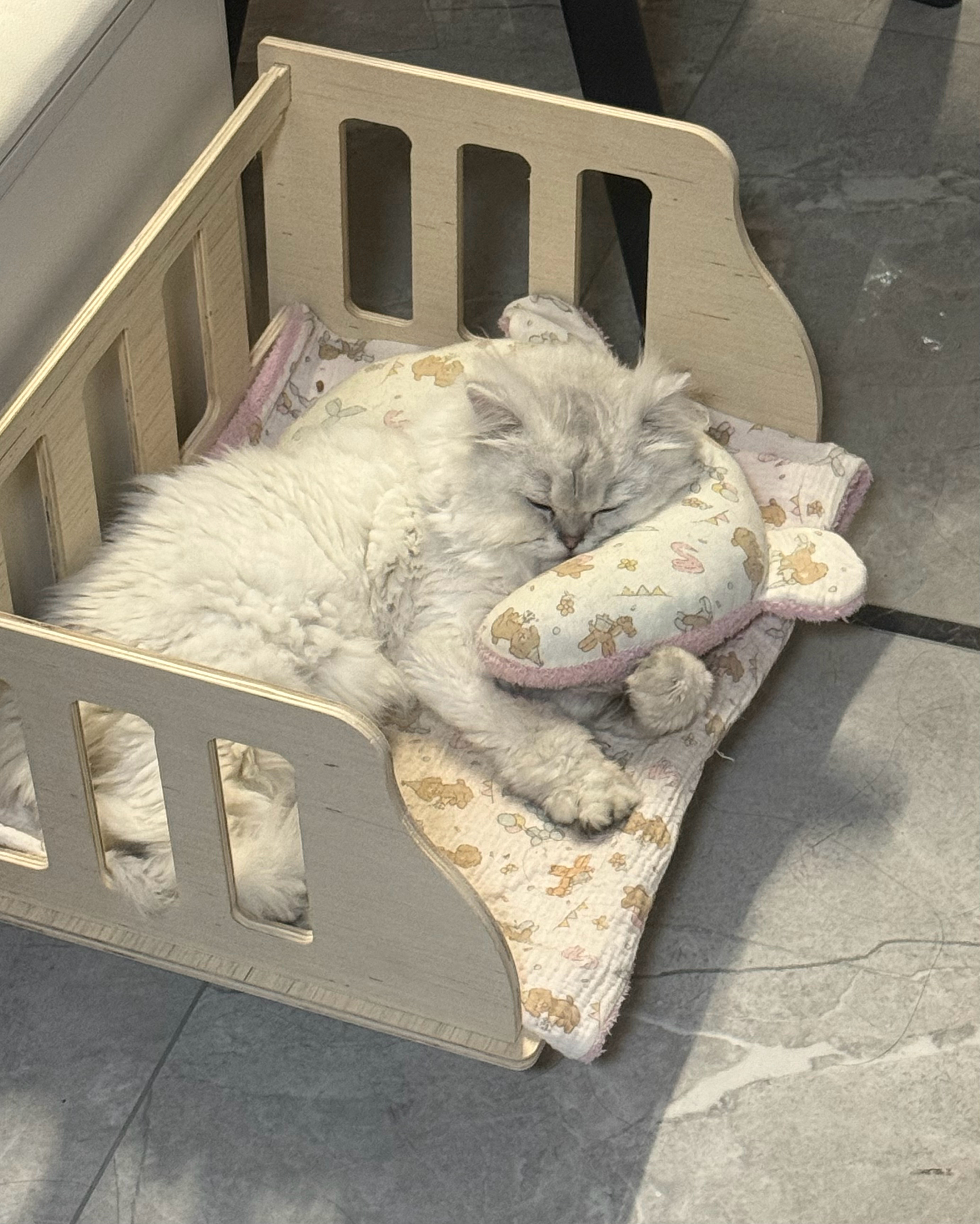 宝宝要一直陪在妈妈身边 ​​​