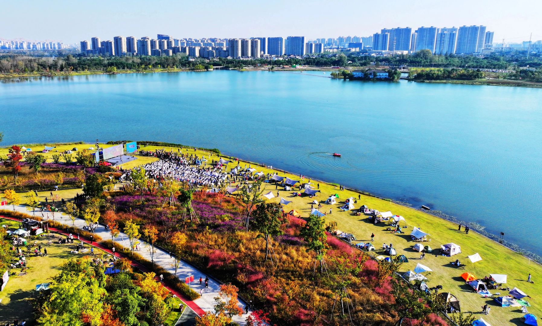合肥楼市的真实温度—春节仅卖36套。
