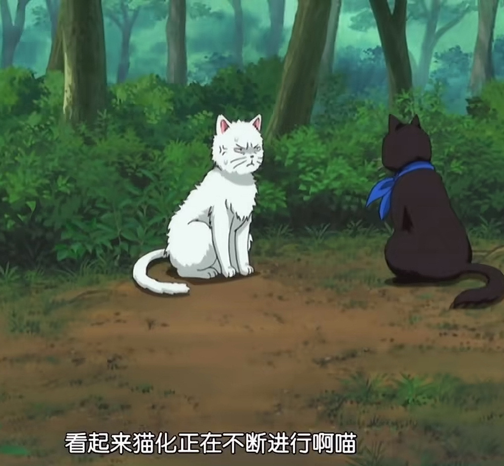 4977为什么紫拉猫被银猫训话的时候都这么甜 