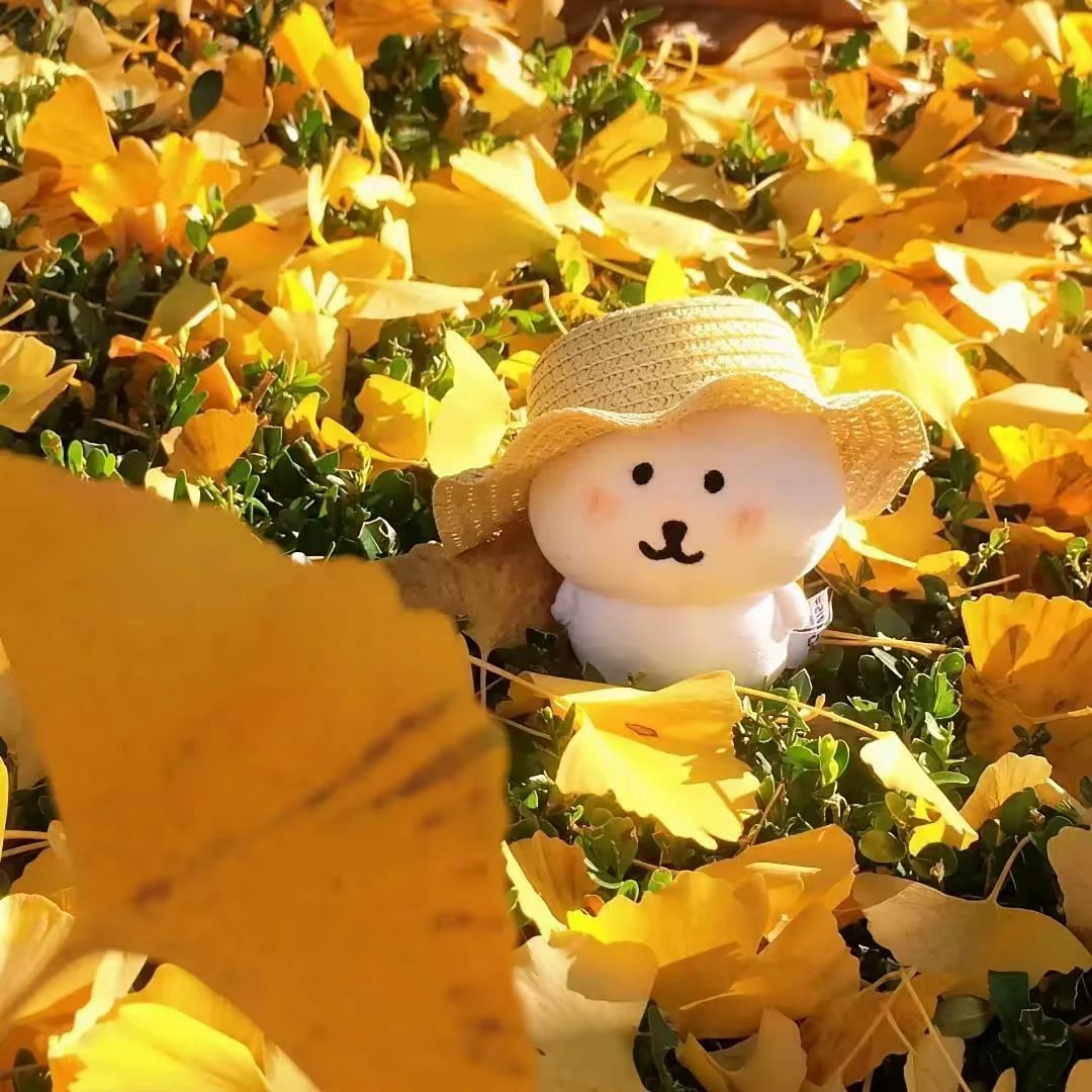 𝑾𝒆𝑪𝒉𝒂𝒕｜氛围感女头｜审美积累｜优质女生头像｜高清无水印 ​丨适