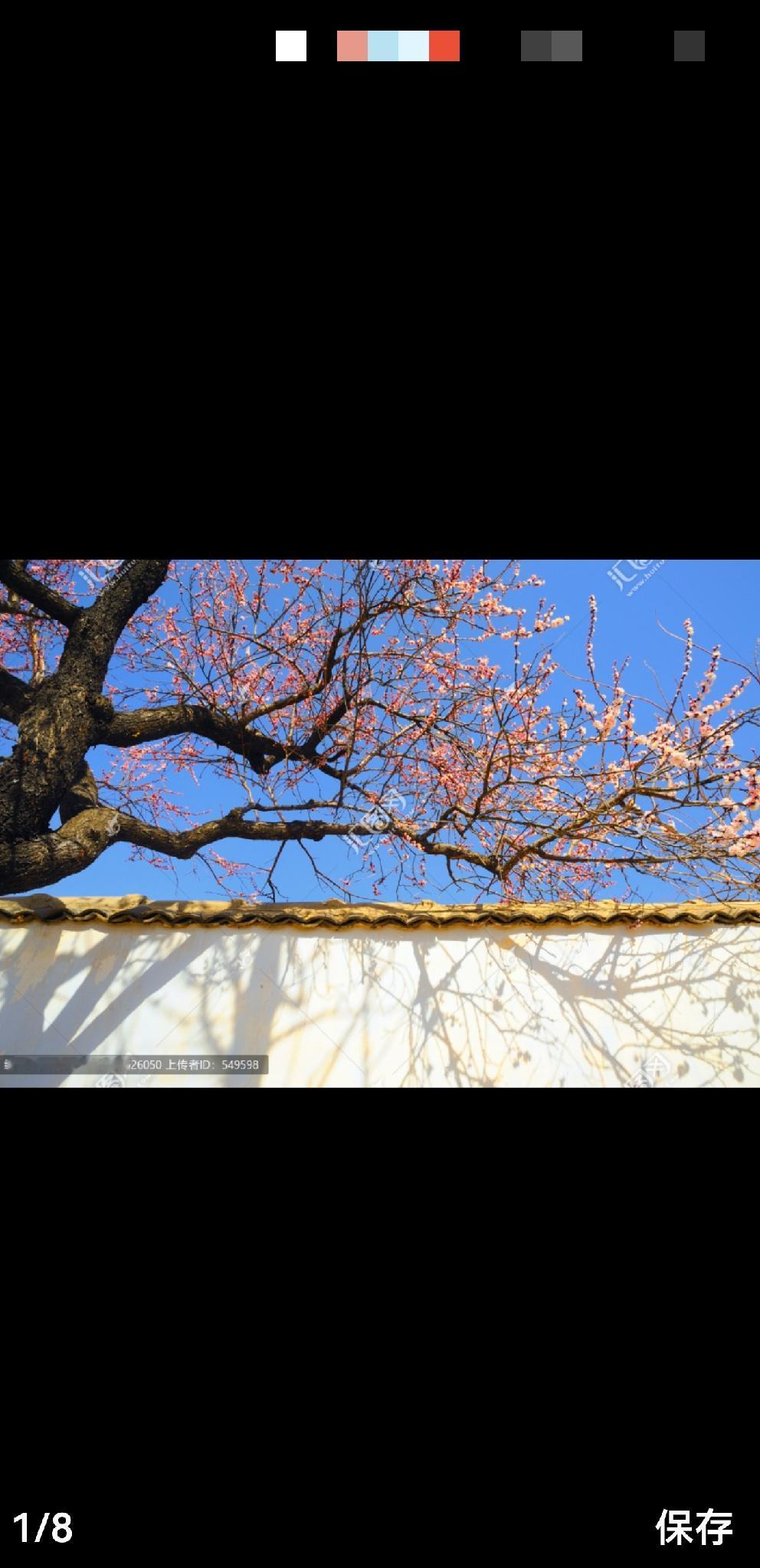 红杏出墙
[烟花][烟花][烟花][烟花]
红杏并非欲出墙，
皆因院内少韶光。