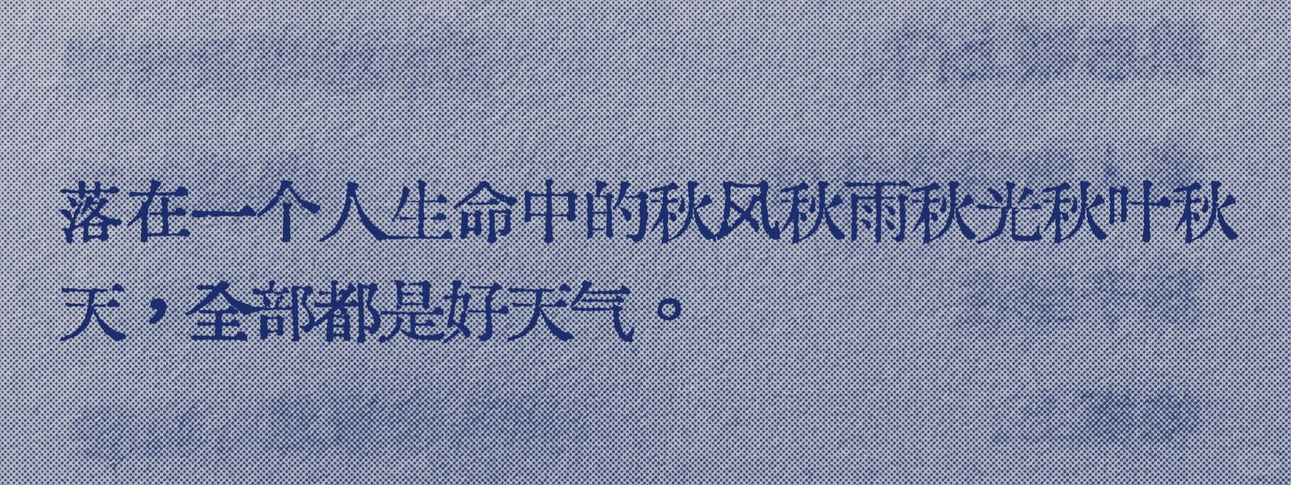 很喜欢一句“落在生命里的风和光都是好天气