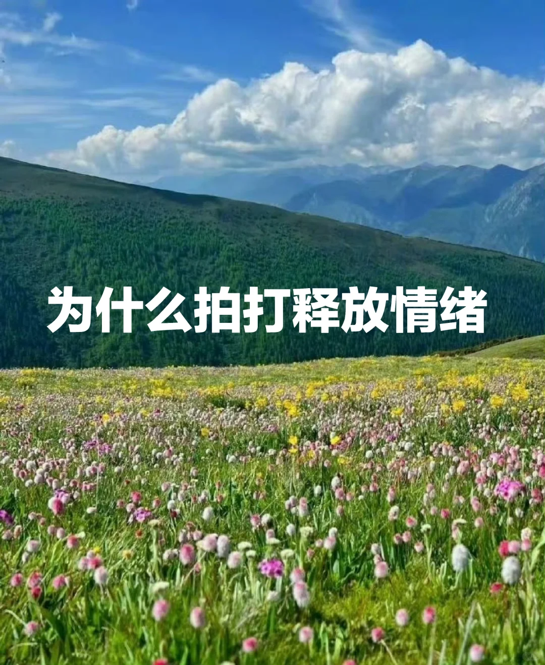 丁师答：为什么拍打释放情绪