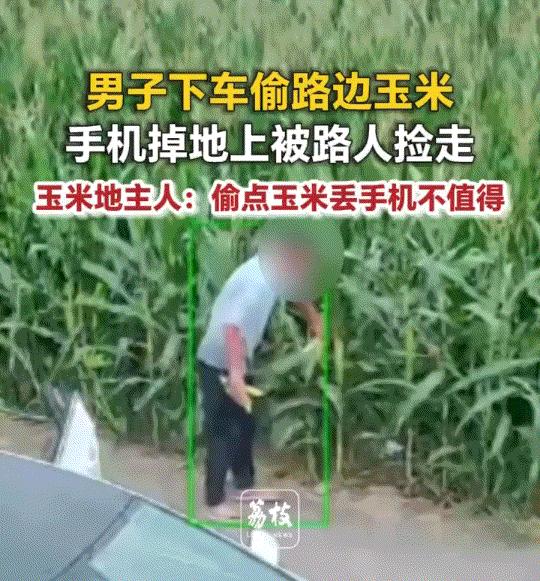 “偷鸡不成蚀把米”。河北邯郸，一男子驾车经过路边一玉米地时，见路边玉米熟得好，便