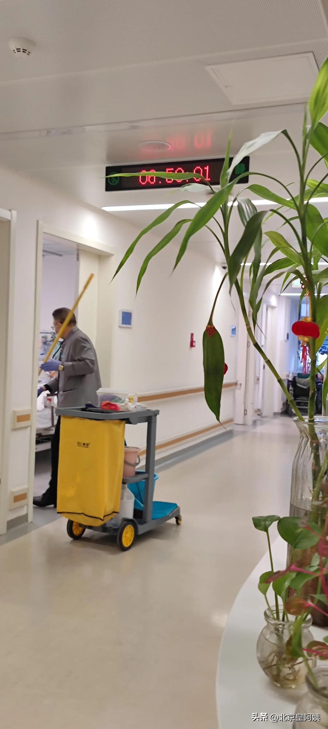 记录我的2026清晨太阳刚刚升起，新的一天开始了，病房里开始忙碌起来!