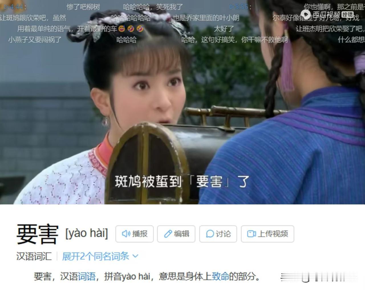 要害是在人体哪里？
好好笑，小燕子乱点鸳鸯谱，硬给柳红和班杰明配对，还说班杰明被