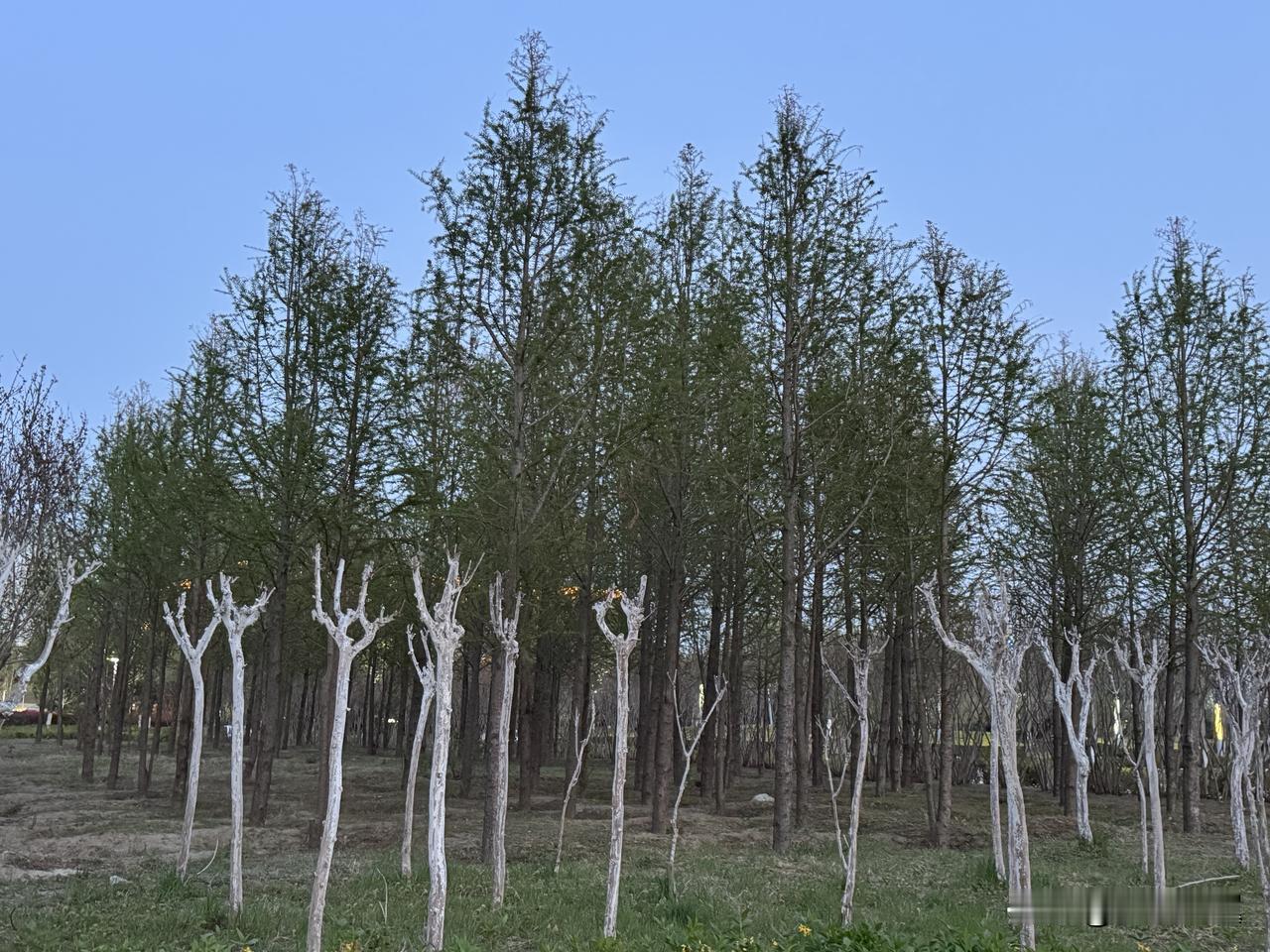 【小对联】
上：时远时近；
下：……？